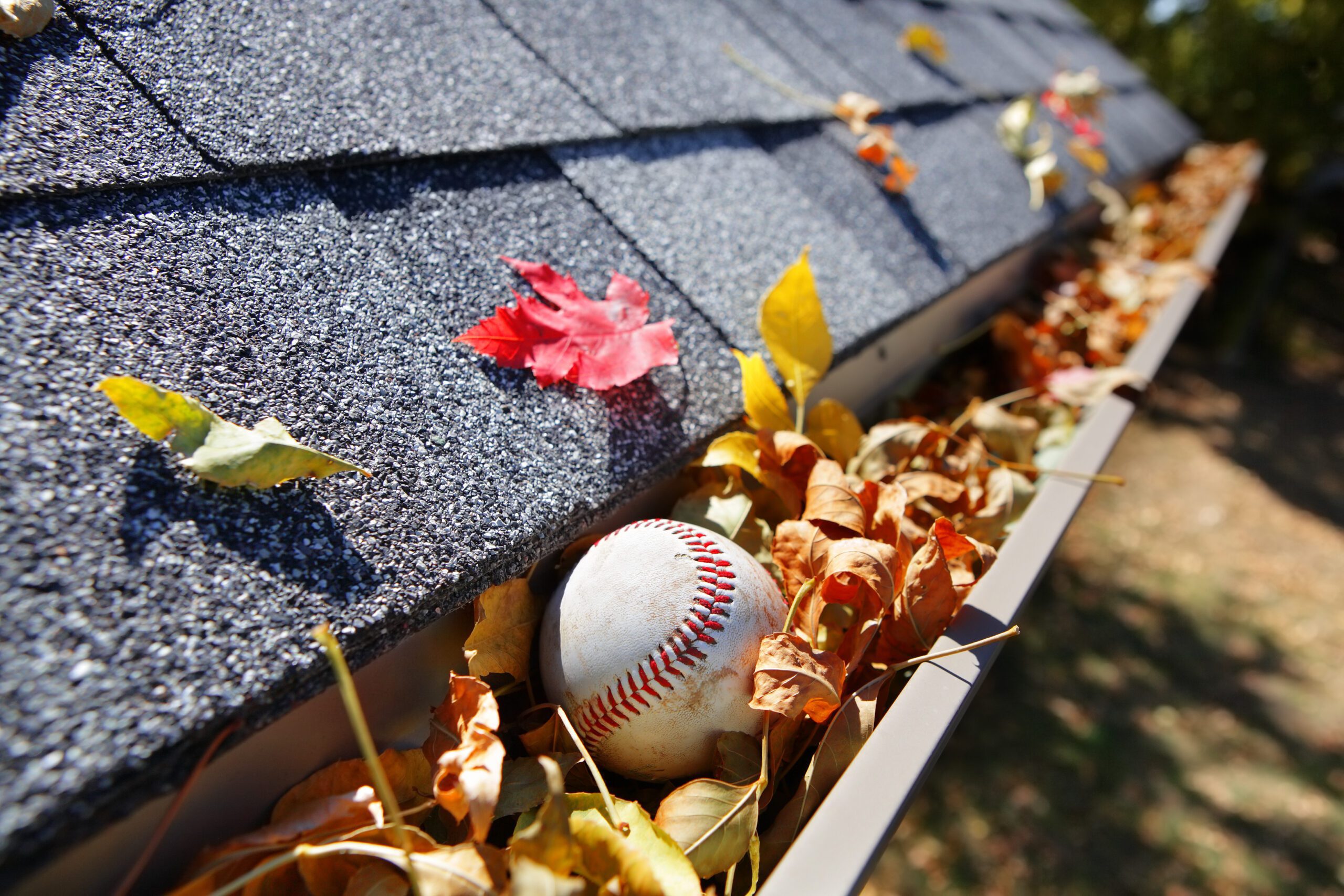 gutter cleaner granite city il